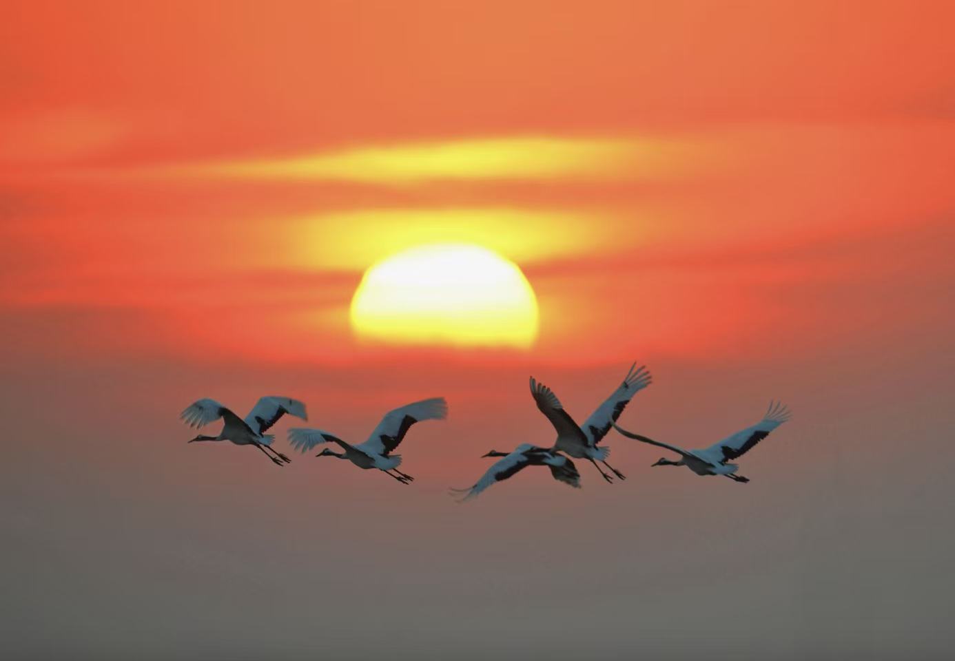 「NICE 鹽城·港韻暢行」兩地文旅聯(lián)動活動即將啟幕