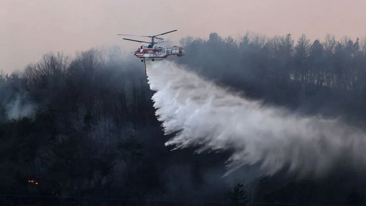 韓國東南部爆發(fā)山火 多地進入「災難狀態(tài)」