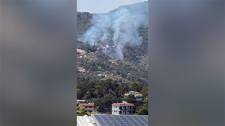 大嶼山梅窩發(fā)生山火 初步無人傷