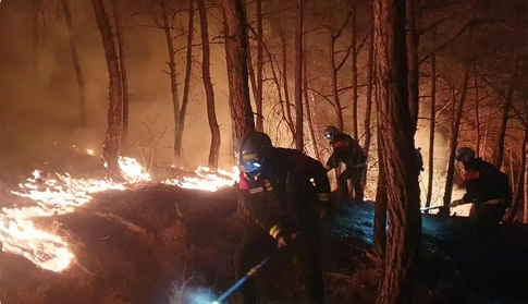 韓國(guó)山火持續(xù) 多地被指定為「特別災(zāi)難地區(qū)」