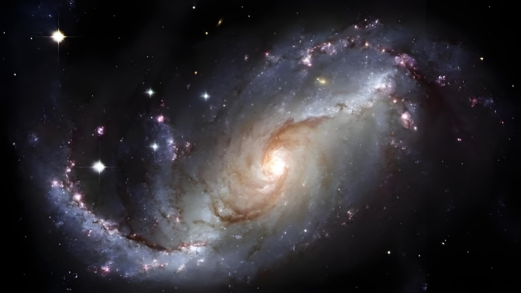 九位茅獎(jiǎng)作家「消失」的書 一場(chǎng)被合同黑洞吞噬的文學(xué)遠(yuǎn)征