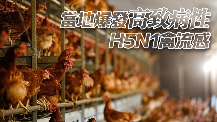 本港暫停進(jìn)口加拿大安大略省Township of Enniskillen禽肉及禽類產(chǎn)品