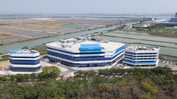 大灣區(qū)「菜籃子」魚更新鮮