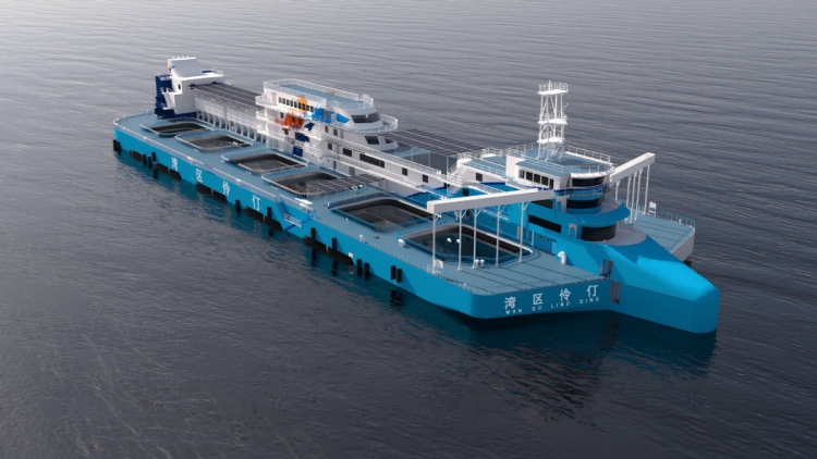 「灣區(qū)伶仃」號(hào)船底養(yǎng)魚船上觀光 全球首創(chuàng)移動(dòng)「深海糧倉」