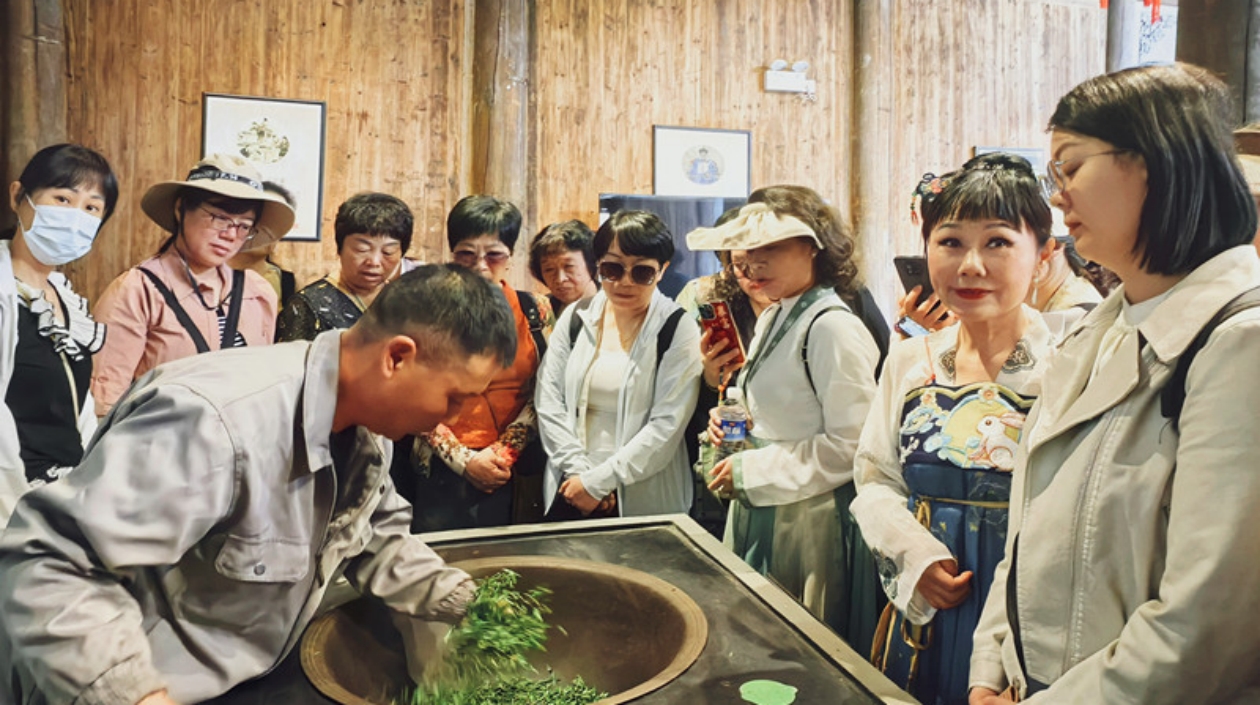 雲(yún)上茶鄉(xiāng)孕好茶 第十七屆黃山毛峰新品推廣季在徽州區(qū)拉帷