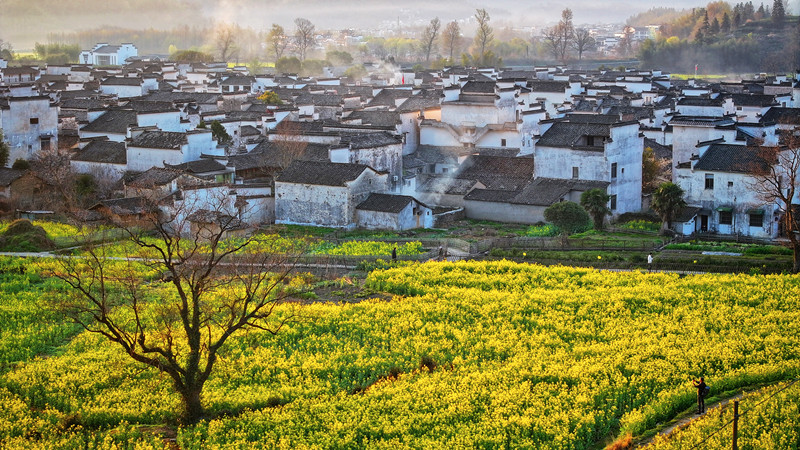 「賞花+」增色全域旅遊  皖黟縣創(chuàng)新玩法釋放消費(fèi)新活力