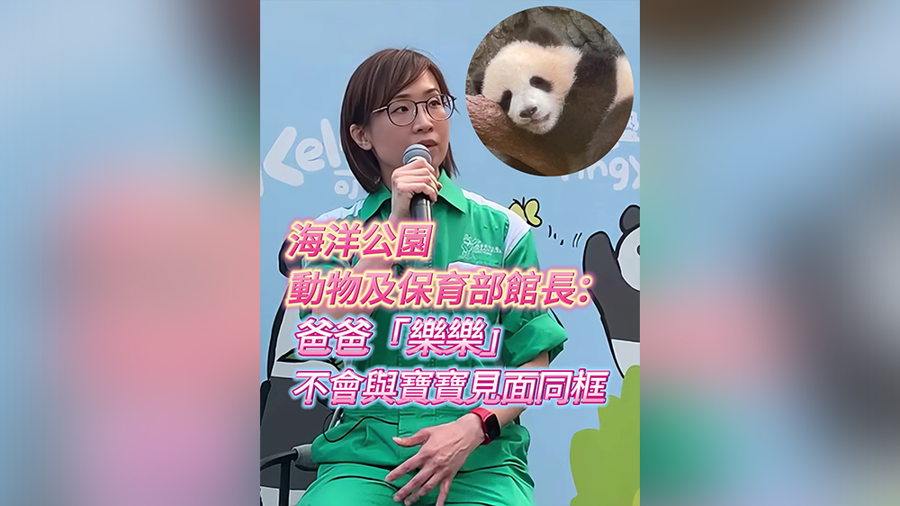 有片｜海洋公園：爸爸「樂(lè)樂(lè)」不會(huì)與寶寶見(jiàn)面同框