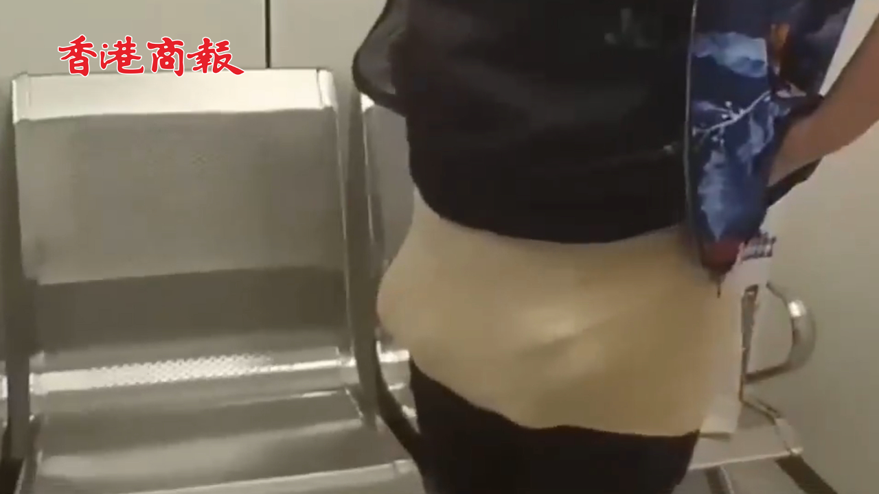 有片丨兩女子裙下藏28隻活南美陸龜入境 被深圳海關(guān)查獲