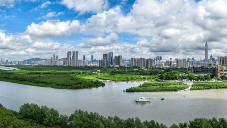 深圳探索建立房票制度 推動多元化安置補償