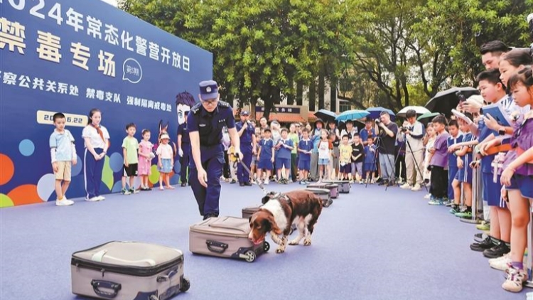 深圳群眾安全感、公安工作滿意度再獲廣東「雙第一」