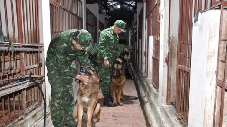 越南軍隊(duì)準(zhǔn)備進(jìn)入緬甸救災(zāi)