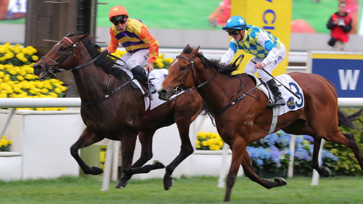 有片 | 潘明輝技勝潘頓 直線力山爆冷捧主席錦標(biāo)