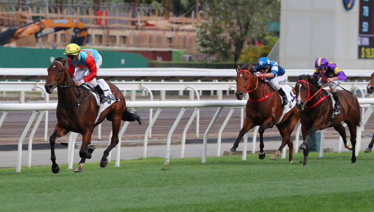 有片 | 潘頓傷愈復(fù)出捧盃 嘉應(yīng)高昇11連勝輕取短途錦標(biāo)