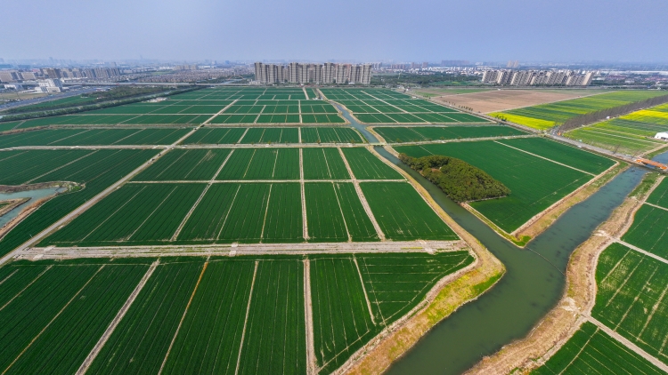 中辦國(guó)辦印發(fā)《逐步把永久基本農(nóng)田建成高標(biāo)準(zhǔn)農(nóng)田實(shí)施方案》 到2030年力爭(zhēng)建成13.5億畝高標(biāo)準(zhǔn)農(nóng)田