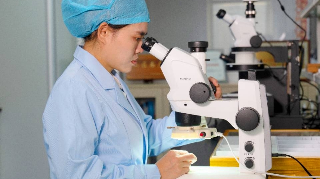 中山海關(guān)技術(shù)中心鑑定、發(fā)現(xiàn)並命名3個蜚蠊新物種