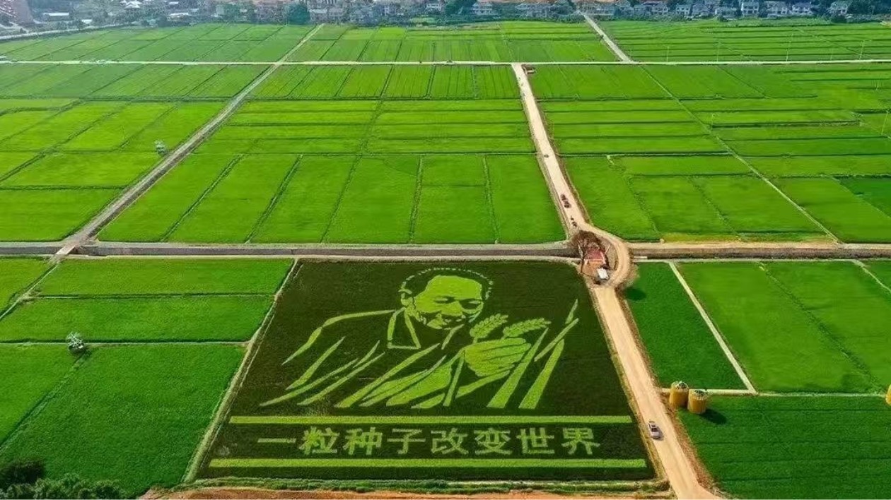 2025懷化安江半程馬拉松即將開(kāi)啟