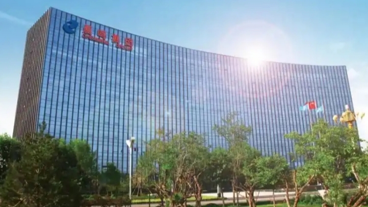 山東晨鳴紙業(yè)集團股份有限公司 第十屆董事會第十二次會議決議公告