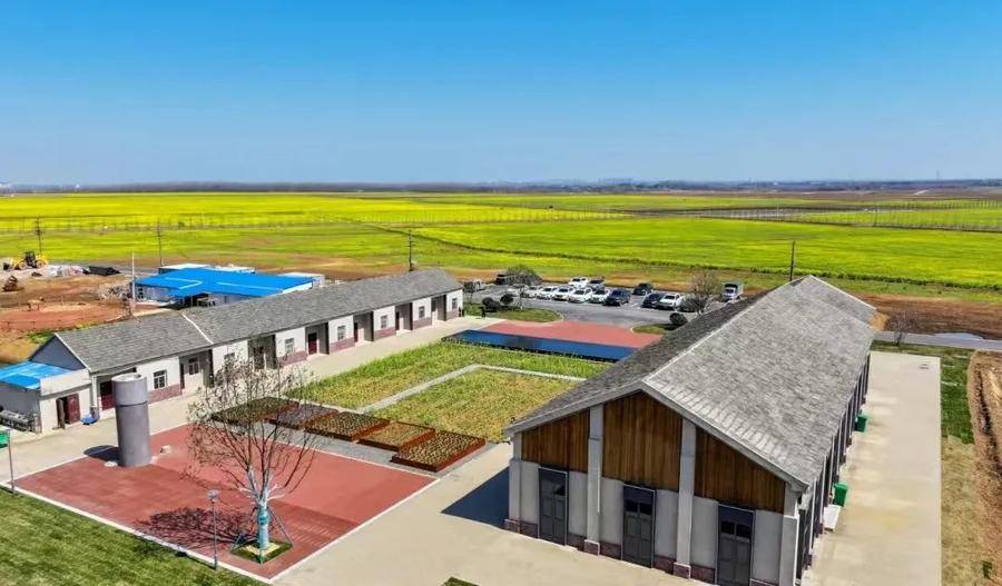 合肥蜀山：智慧平臺(tái)「種」進(jìn)農(nóng)田