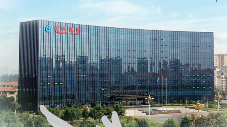 山東晨鳴紙業(yè)集團(tuán)股份有限公司 第十屆監(jiān)事會(huì)第十二次會(huì)議決議公告