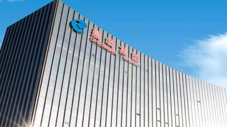 山東晨鳴紙業(yè)集團(tuán)股份有限公司 關(guān)於召開(kāi)2024年度股東大會(huì)的通知