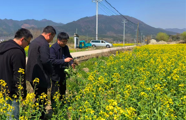 皖黟縣: 「產(chǎn)學(xué)研」協(xié)同 增效強(qiáng)鏈助農(nóng)增收