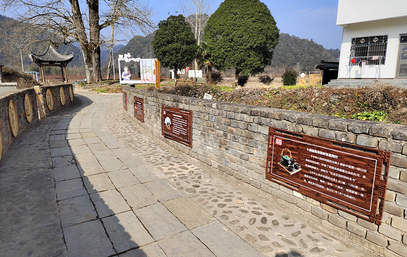 皖黟縣宏潭：田園映法韻 古樹話鄉(xiāng)情