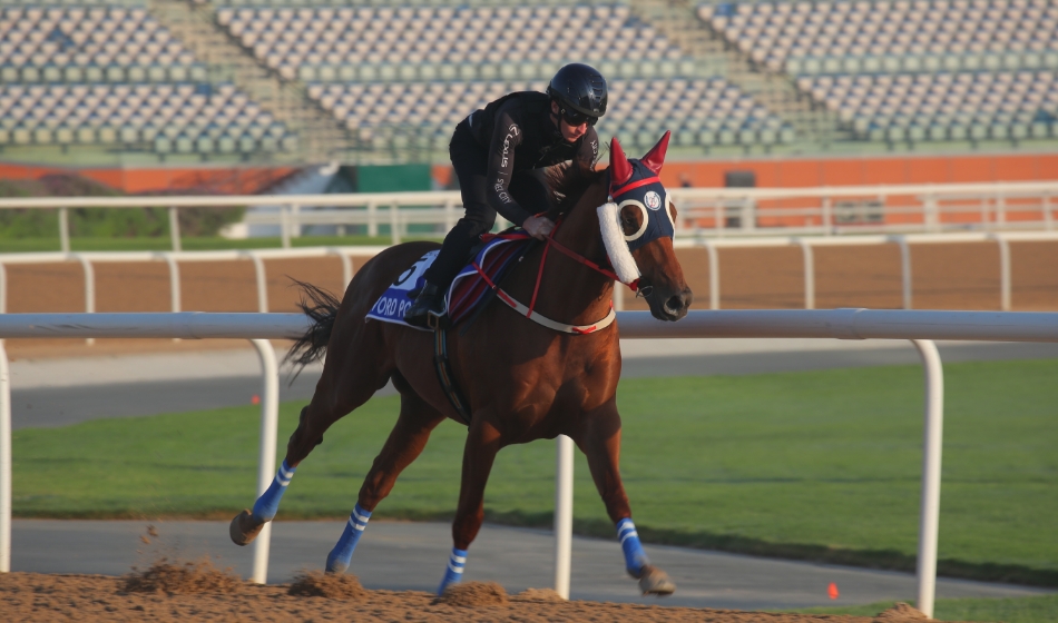 有片丨迪拜世界盃直擊 「知足常樂(lè)」麥道朗親操 羅富全提兩匹強(qiáng)敵
