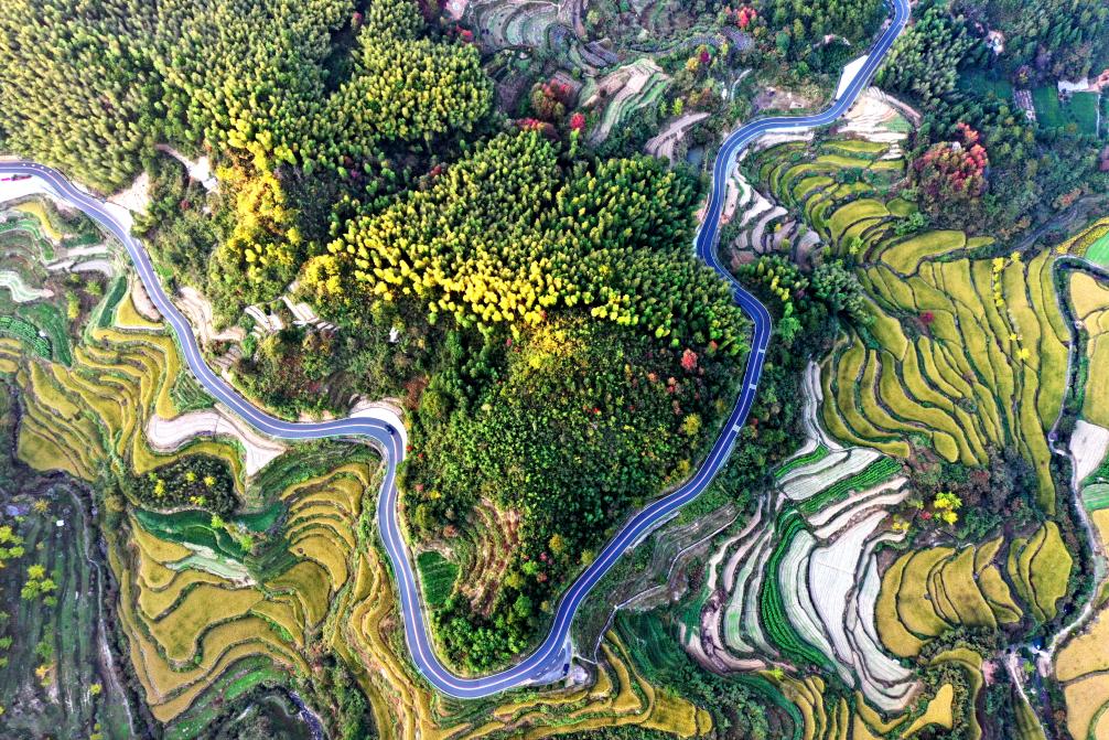 豐富供給優(yōu)體驗(yàn) 皖徽州區(qū)「清明遊」升溫