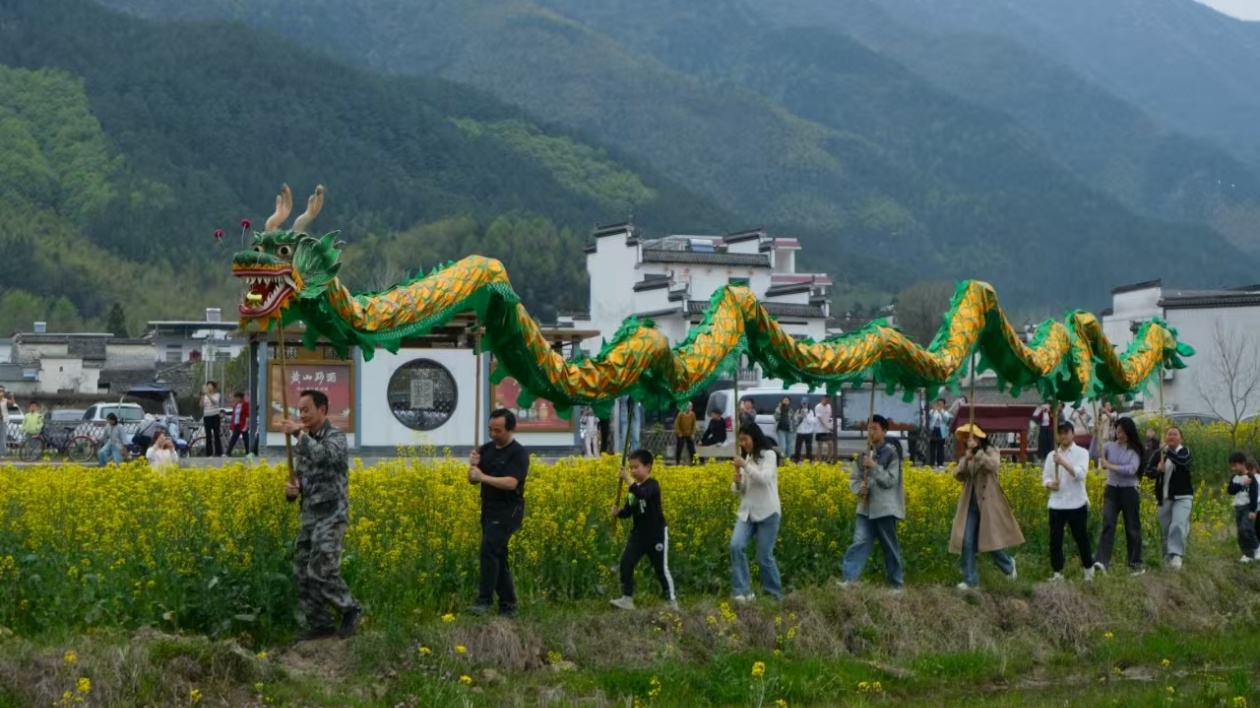 碧山花田游龍吸睛  皖黟縣碧陽鎮(zhèn)「非遺+賞春」線路「出圈」