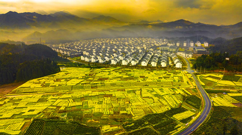 從「移居」到「樂業(yè)」  皖休寧月潭湖鎮(zhèn)的「蝶變之路」