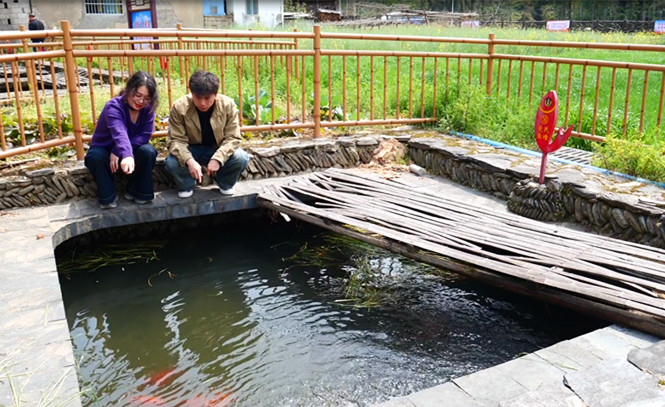 賞花又看魚  皖休寧泉水魚鄉(xiāng)引客來