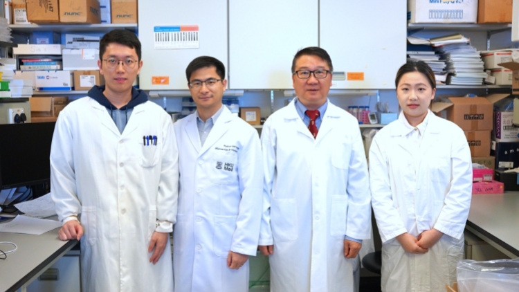 港大醫(yī)學(xué)院全球首創(chuàng)光敏混合型免疫療法 取得癌癥治療突破