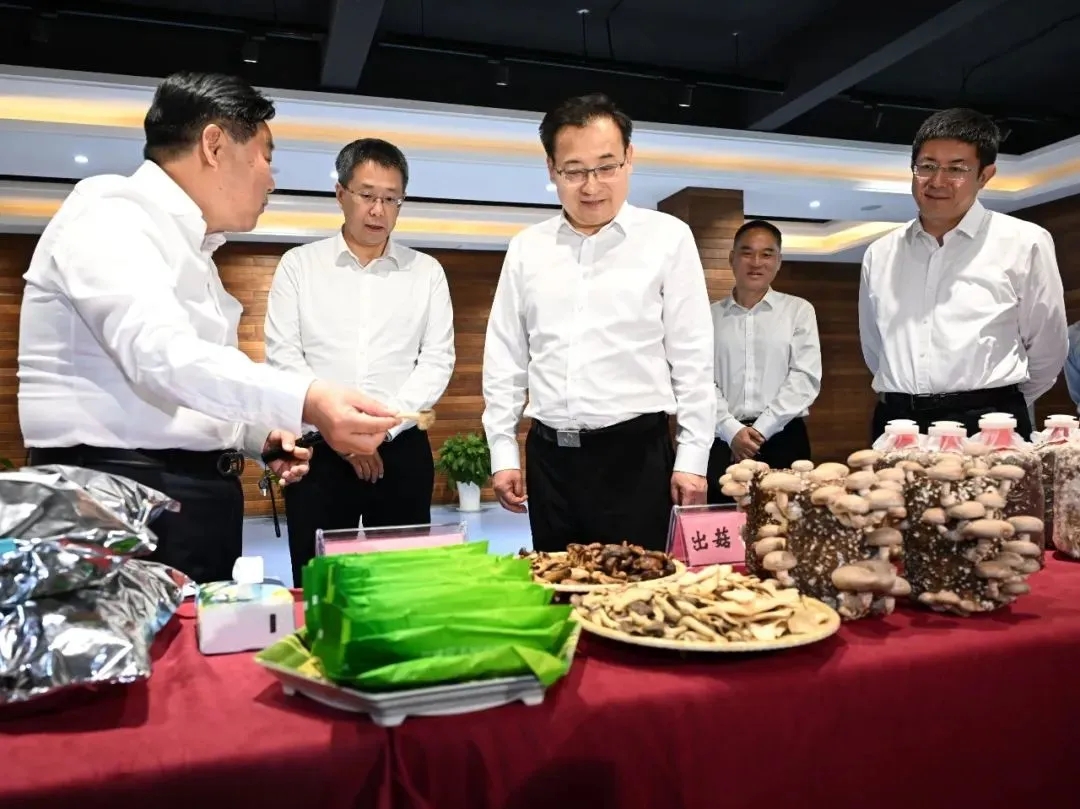 安徽省委書記梁言順在蕪湖市調(diào)研