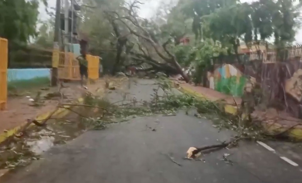 印度比哈爾邦持續(xù)遭遇惡劣天氣至少82人死亡 