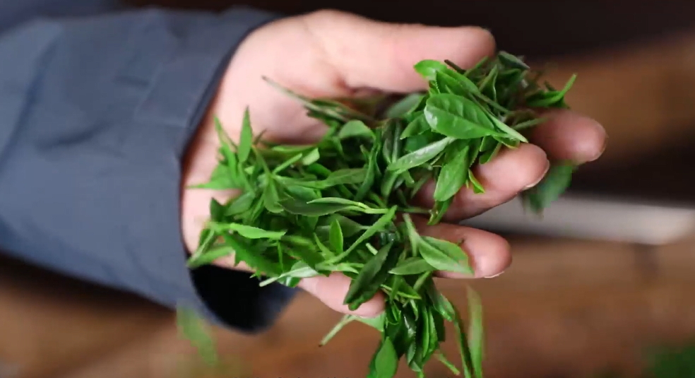 【視聽(tīng)山東】這一口春天的清香終於等到了