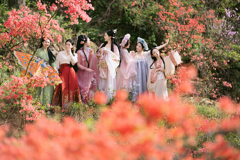 茶海翻湧山花競(jìng)艷 「雲(yún)上岳西」繽紛如畫(huà)