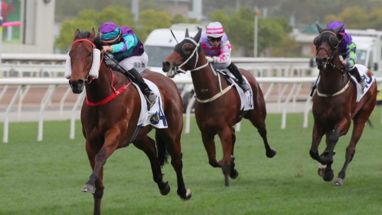 有片 | 第九場(chǎng)三班1000米爆大冷 三項(xiàng)彩池派彩破紀(jì)錄