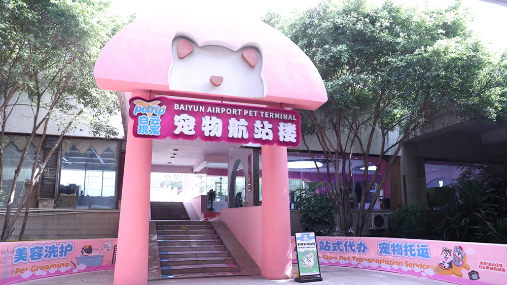 開闢「寵物友好機場」新賽道  全國首家寵物航站樓即將在穗白雲(yún)機場啟用