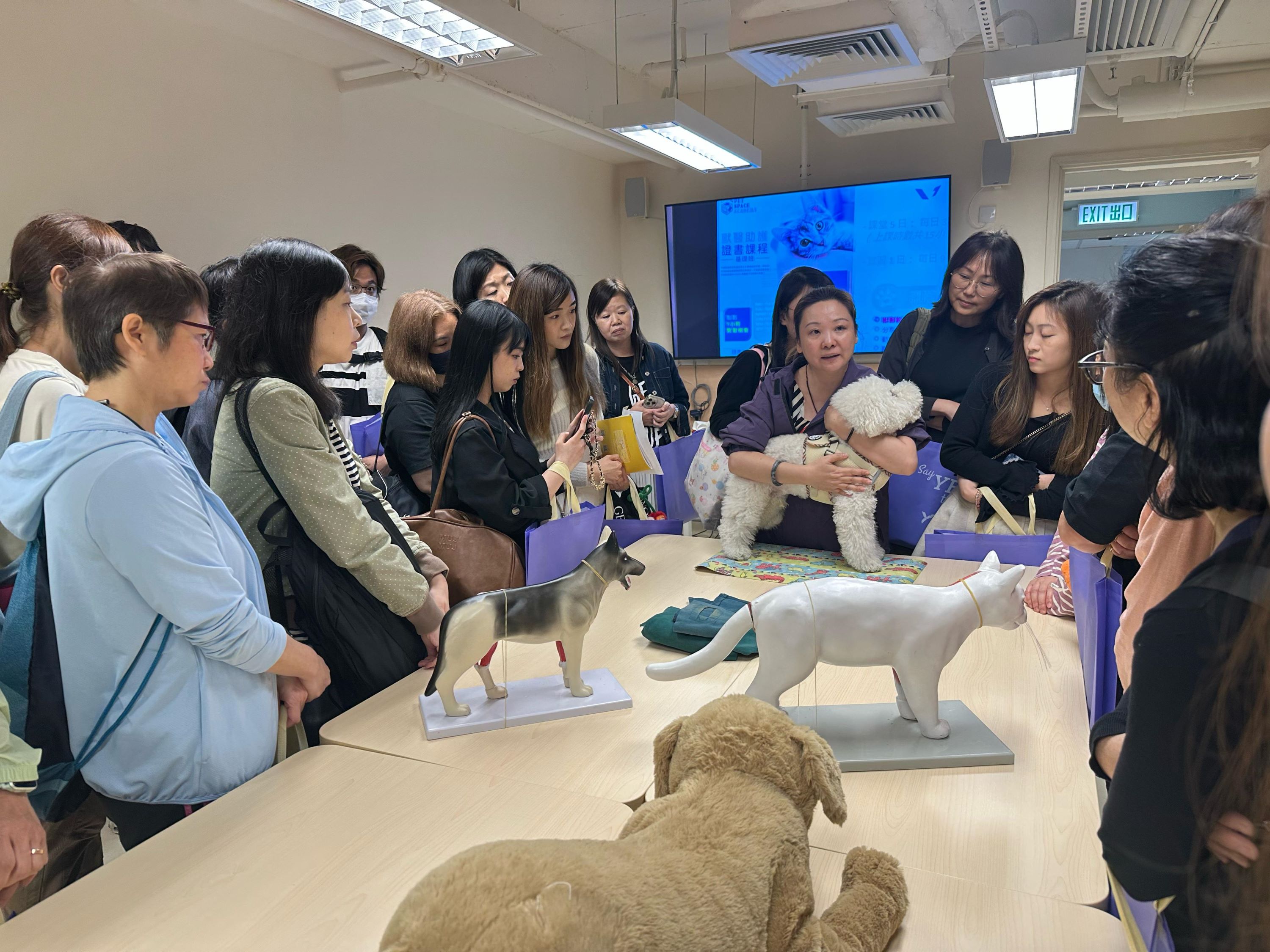 仁愛堂YES護(hù)理體驗(yàn)日助探索職場新方向