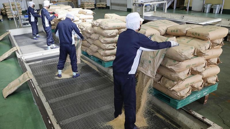 日本大米連漲14周價(jià)格破紀(jì)錄