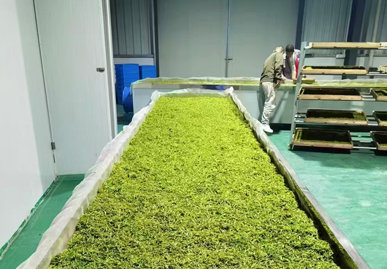 皖黟縣宏潭：推動茶旅融合發(fā)展 賦能鄉(xiāng)村全面振興