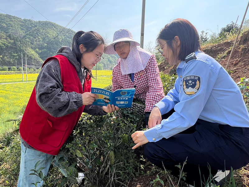 皖黟縣美溪：「清風廉動」 護航春茶安全生產(chǎn)