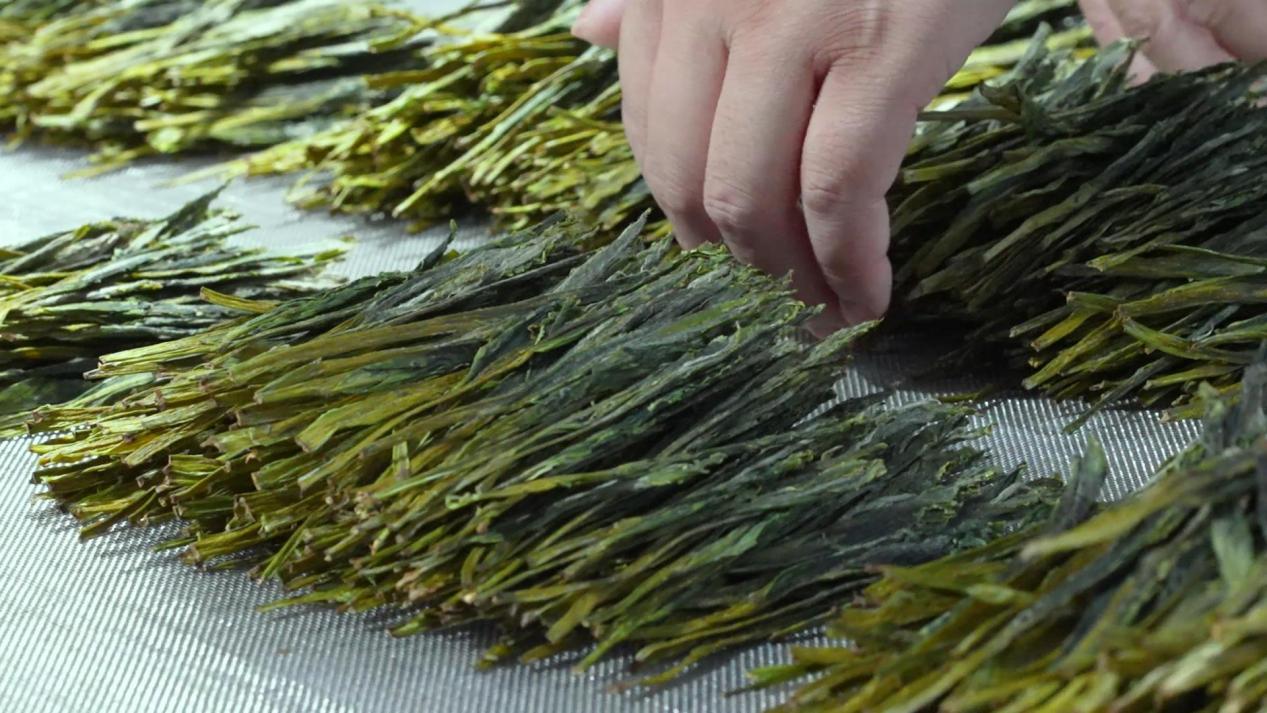 皖黃山區(qū)：猴魁蘭香展風采 匠心制茶續(xù)新篇