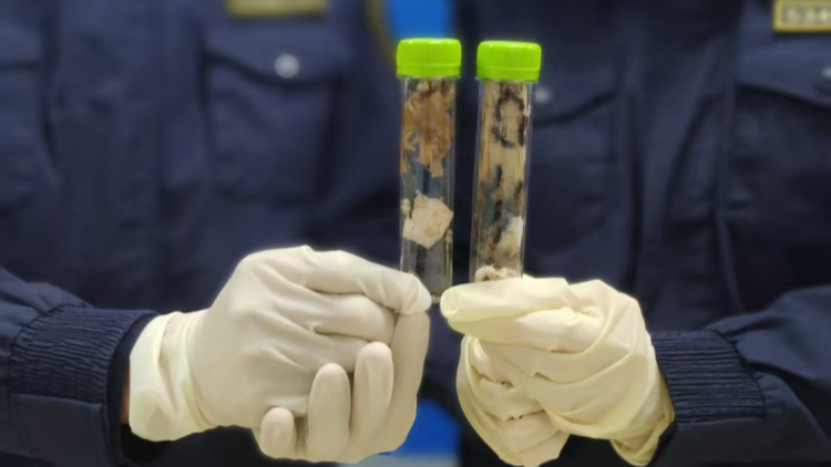 築牢國門安全防線深圳海關(guān)在行動