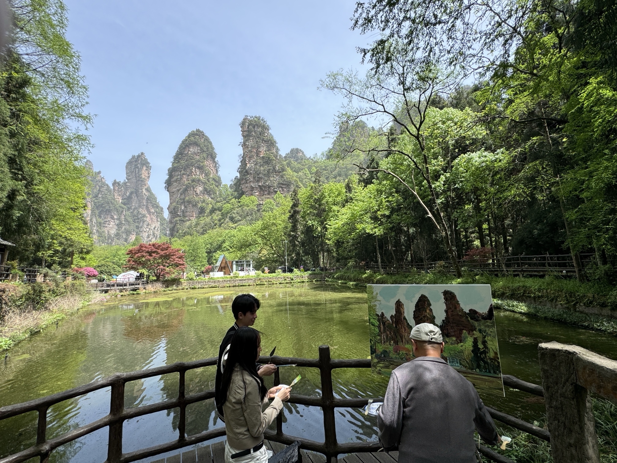 全國(guó)知名藝術(shù)家採(cǎi)風(fēng)團(tuán)寫(xiě)生張家界國(guó)家森林公園