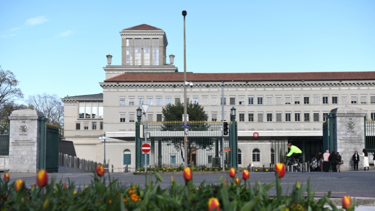 世貿(mào)組織：美關(guān)稅政策致全球貿(mào)易前景嚴(yán)重惡化