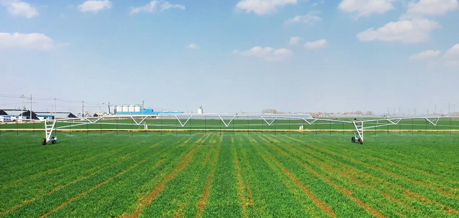 山東廣饒：高標準農(nóng)田節(jié)水灌溉忙