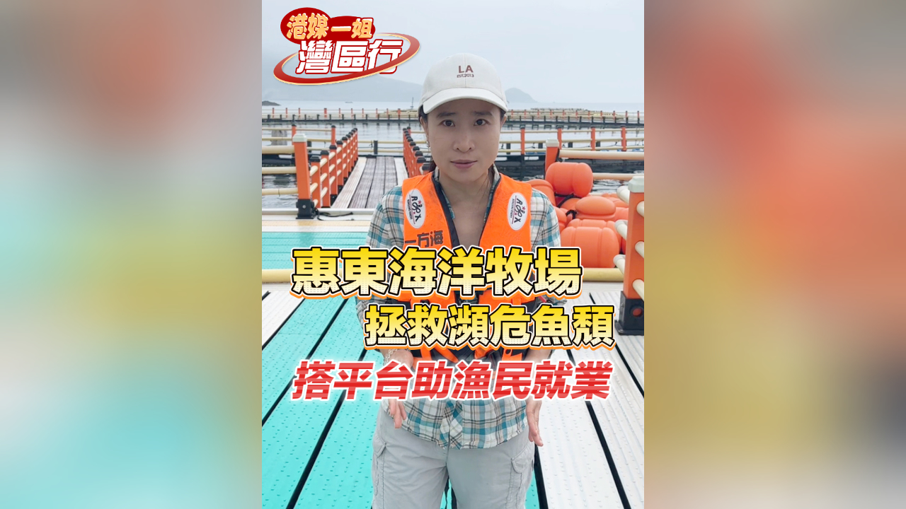 有片丨【港媒一姐灣區(qū)行】惠東海洋牧場拯救瀕危魚頽 搭平臺助漁民就業(yè)