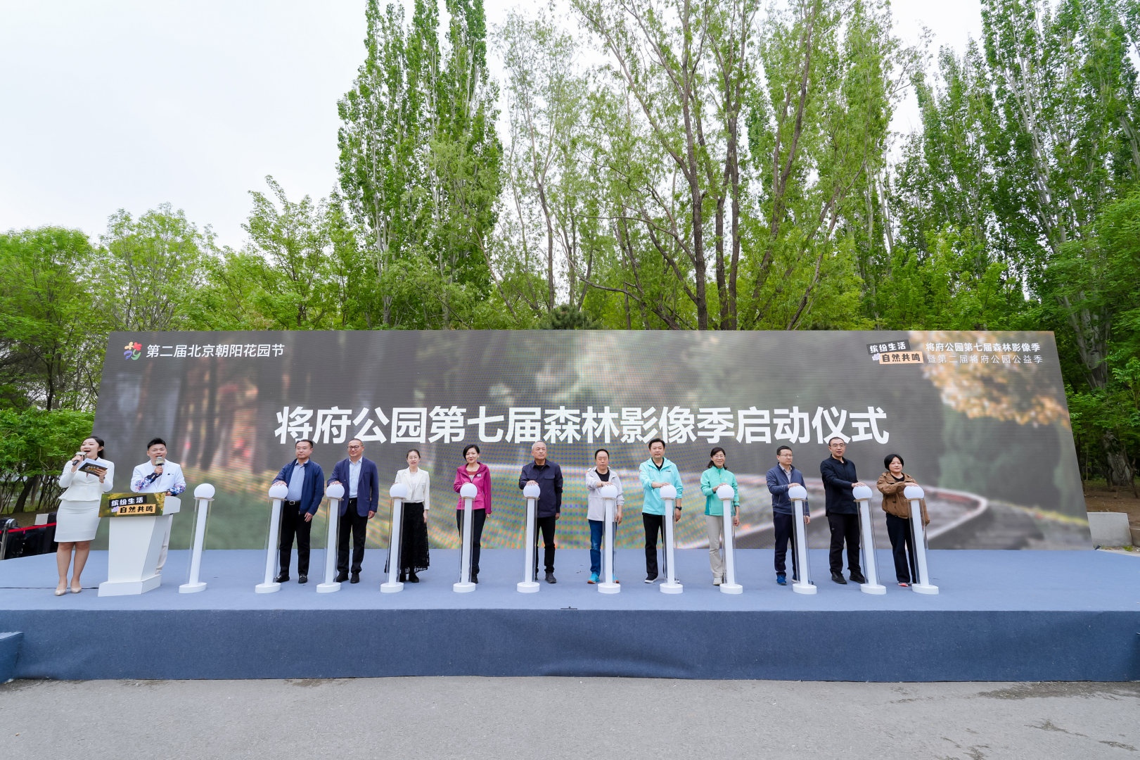 打卡北京最美二月蘭花海 北京朝陽將府公園第七屆森林影像季啟幕