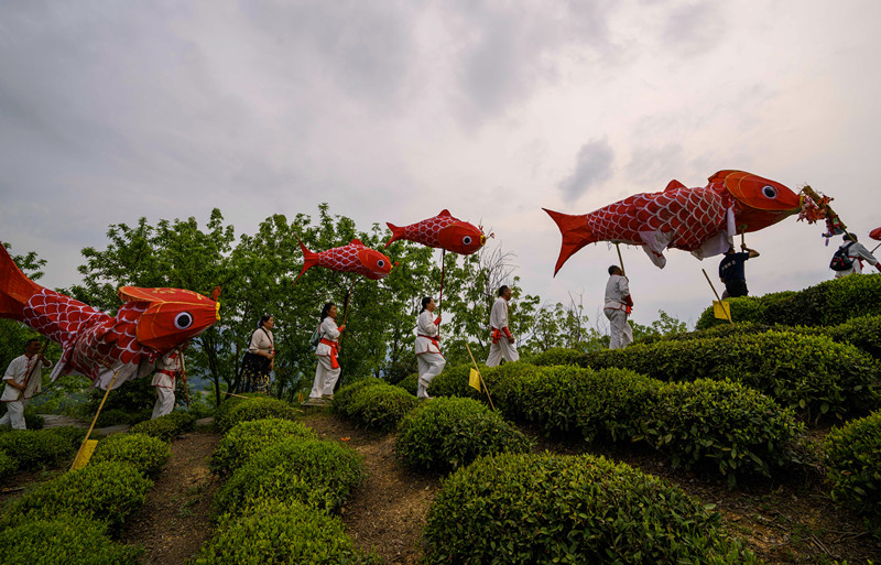 皖歙縣杞梓里鎮(zhèn)：非遺魚燈點亮「雲(yún)海街市」